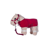 Set de démarrage Cuddle Pony HKM Rouge