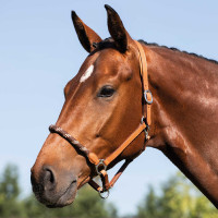 Licol en cuir avec protection ergonomique et muserolle en corde Acavallo Cognac Marron Licol en cuir avec protection ergonomique et muserolle en corde Acavallo Cognac Marron