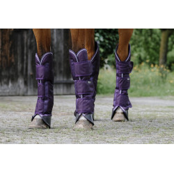 Guêtres de transport Equithème Tyrex 600D Prune Violet