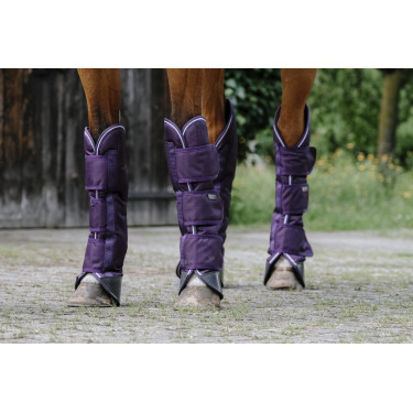 Guêtres de transport Equithème Tyrex 600D Prune Violet