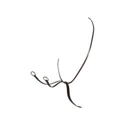 Martingale à collier en cuir Equestro Marron foncé