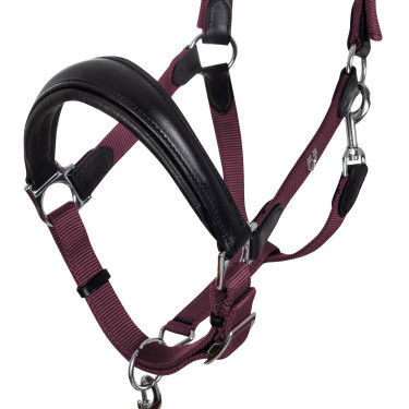 Licol ergonomique avec inserts en cuir Lani Equestro Licol ergonomique avec inserts en cuir Lani Equestro