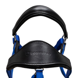 Licol ergonomique avec inserts en cuir Lani Equestro Noir / royal Licol ergonomique avec inserts en cuir Lani Equestro Noir / royal