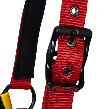 Licol en nylon Flaggy Equestro Licol en nylon Flaggy Equestro