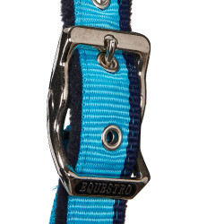 Licol en nylon avec longe Red Trim Equestro Turquoise / rouge / marine Bleu