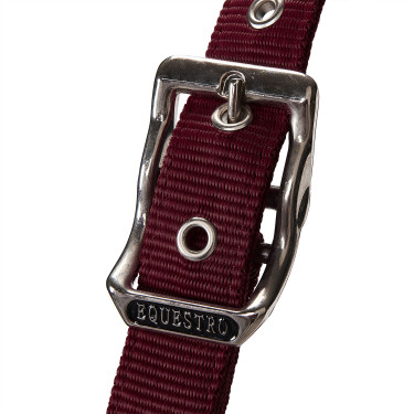 Licol en nylon avec longe et doublure en polaire Equestro Licol en nylon avec longe et doublure en polaire Equestro