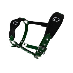 Licol en nylon avec longe et doublure en polaire Equestro Vert Licol en nylon avec longe et doublure en polaire Equestro Vert