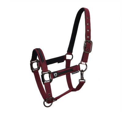 Licol en nylon avec longe Elegance Equestro Bordeaux