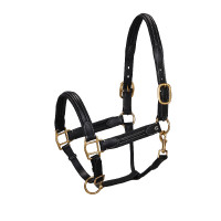 Licol en cuir supérieur Equestro Noir