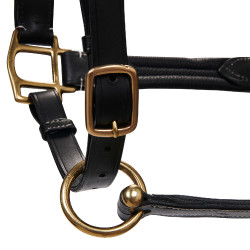 Licol en cuir supérieur Equestro Noir Licol en cuir supérieur Equestro Noir