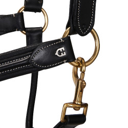 Licol en cuir supérieur Equestro Noir Licol en cuir supérieur Equestro Noir