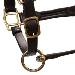 Licol en cuir supérieur Equestro Marron foncé Licol en cuir supérieur Equestro Marron foncé
