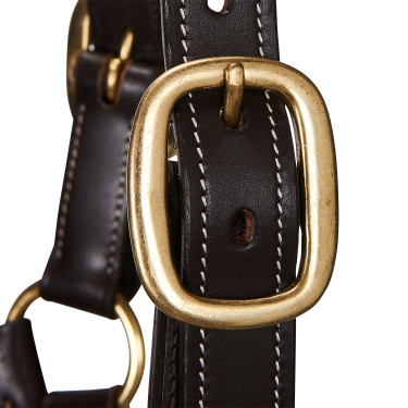 Licol en cuir supérieur Equestro Marron foncé Licol en cuir supérieur Equestro Marron foncé