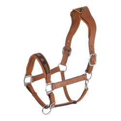 Licol en cuir avec protection ergonomique en veau Acavallo