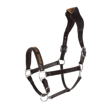 Licol en cuir avec protection ergonomique en veau Acavallo Marron foncé