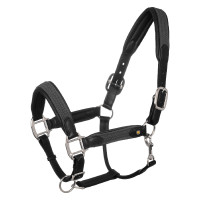 Licol en cuir avec inserts en nylon tressé Equestro Noir / gris