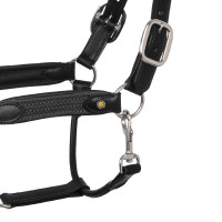 Licol en cuir avec inserts en nylon tressé Equestro Noir / gris Licol en cuir avec inserts en nylon tressé Equestro Noir / gris