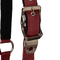 Licol et longe Equestro Bordeaux Licol et longe Equestro Bordeaux