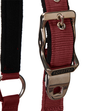 Licol et longe Equestro Licol et longe Equestro