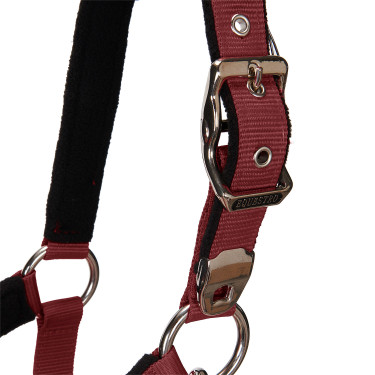 Licol et longe Equestro Licol et longe Equestro