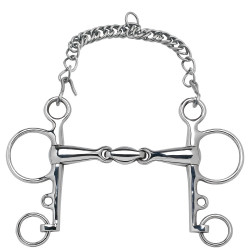 Mors Pelham Feeling Anatomic branches courtes