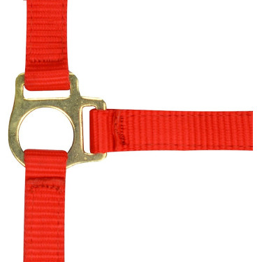 Licol nylon foal Licol nylon foal