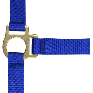 Licol nylon foal Licol nylon foal