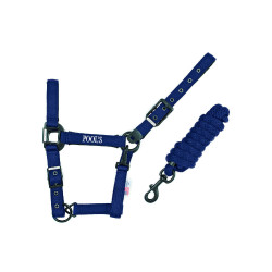 Licol Pool's nylon boucles noires avec longe Bleu marine