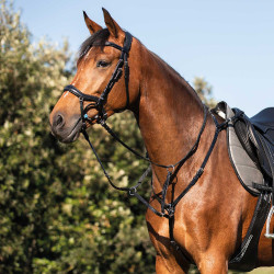 Collier de chasse martingale Acavallo en cuir 3 points Noir Collier de chasse martingale Acavallo en cuir 3 points Noir