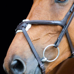 Bridon à muserolle croisée Prescott Horze Marron
