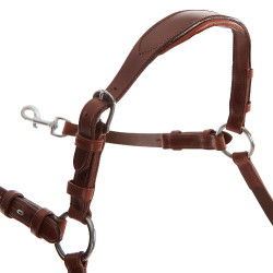 Collier de chasse martingale Acavallo en cuir 5 points Cognac Marron