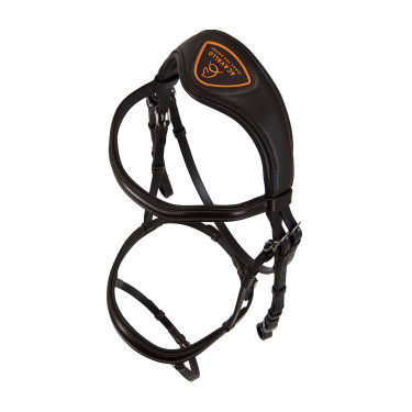 Bridon en cuir Acavallo Allegoria Marron foncé
