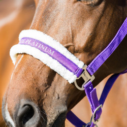 Licol Howard Crescendo Horze Violet Licol Howard Crescendo Horze Violet