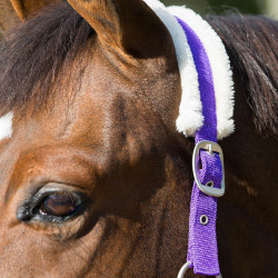 Licol Howard Crescendo Horze Violet Licol Howard Crescendo Horze Violet