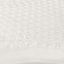 Amortisseur Gel et réhausseur avant Acavallo Transparent Amortisseur Gel et réhausseur avant Acavallo Transparent