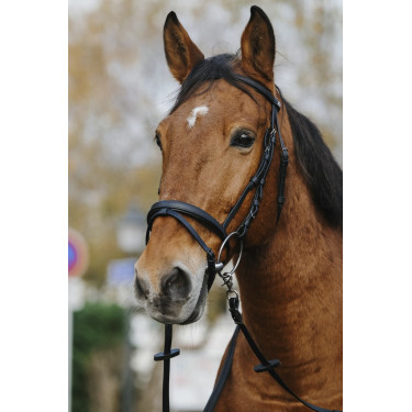 Bridon Norton Training Bridon Norton Training