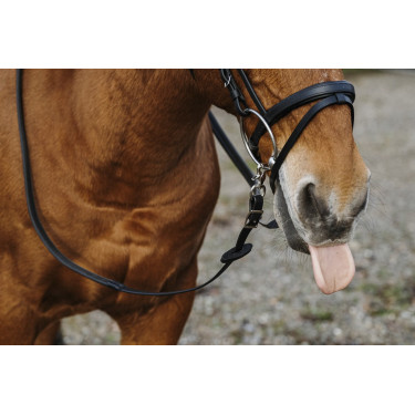 Rênes caoutchouc Norton Training PVC Rênes caoutchouc Norton Training PVC