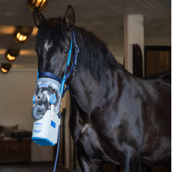 Inhalateur à ultrasons sans fil pour chevaux AirOne Flex Hippomed Inhalateur à ultrasons sans fil pour chevaux AirOne Flex Hippomed