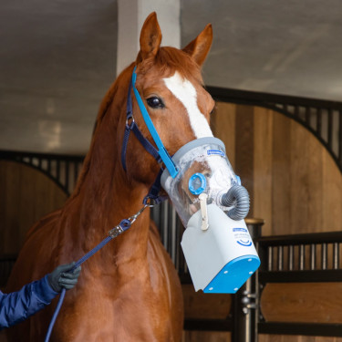 Inhalateur à ultrasons sans fil pour chevaux AirOne Flex Hippomed Inhalateur à ultrasons sans fil pour chevaux AirOne Flex Hippomed