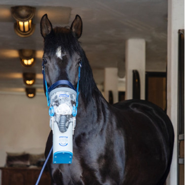 Inhalateur à ultrasons sans fil pour chevaux AirOne Flex Hippomed Inhalateur à ultrasons sans fil pour chevaux AirOne Flex Hippomed