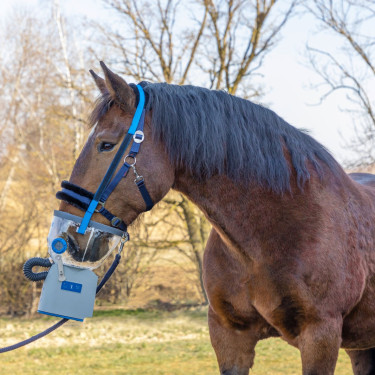 Inhalateur à ultrasons sans fil pour chevaux AirOne Flex Hippomed Inhalateur à ultrasons sans fil pour chevaux AirOne Flex Hippomed