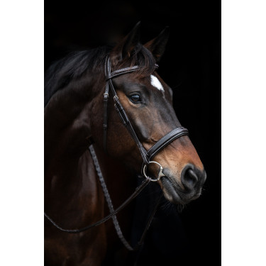 Bridon Hunter 2 HKM Bridon Hunter 2 HKM