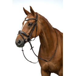 Bridon Ira HKM Marron Bridon Ira HKM Marron