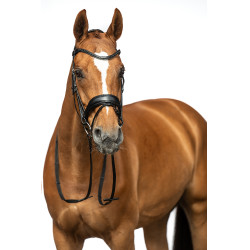 Bridon Ira HKM Noir Bridon Ira HKM Noir