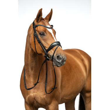 Bridon Ira HKM Noir Bridon Ira HKM Noir