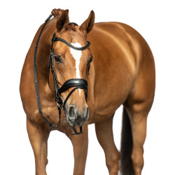 Bridon Ira HKM Noir Bridon Ira HKM Noir