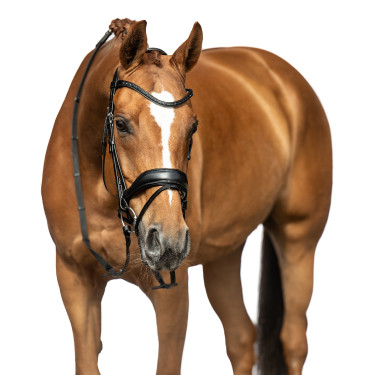 Bridon Ira HKM Noir Bridon Ira HKM Noir