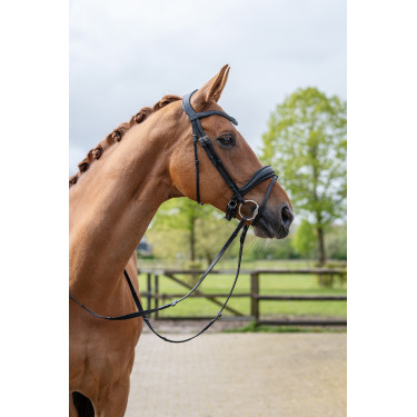 Bridon Ira HKM Noir Bridon Ira HKM Noir