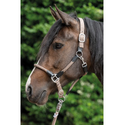 Licol Carlotta HKM Taupe Marron Licol Carlotta HKM Taupe Marron