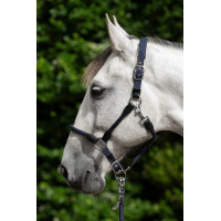 Licol Carlotta HKM Bleu foncé Licol Carlotta HKM Bleu foncé